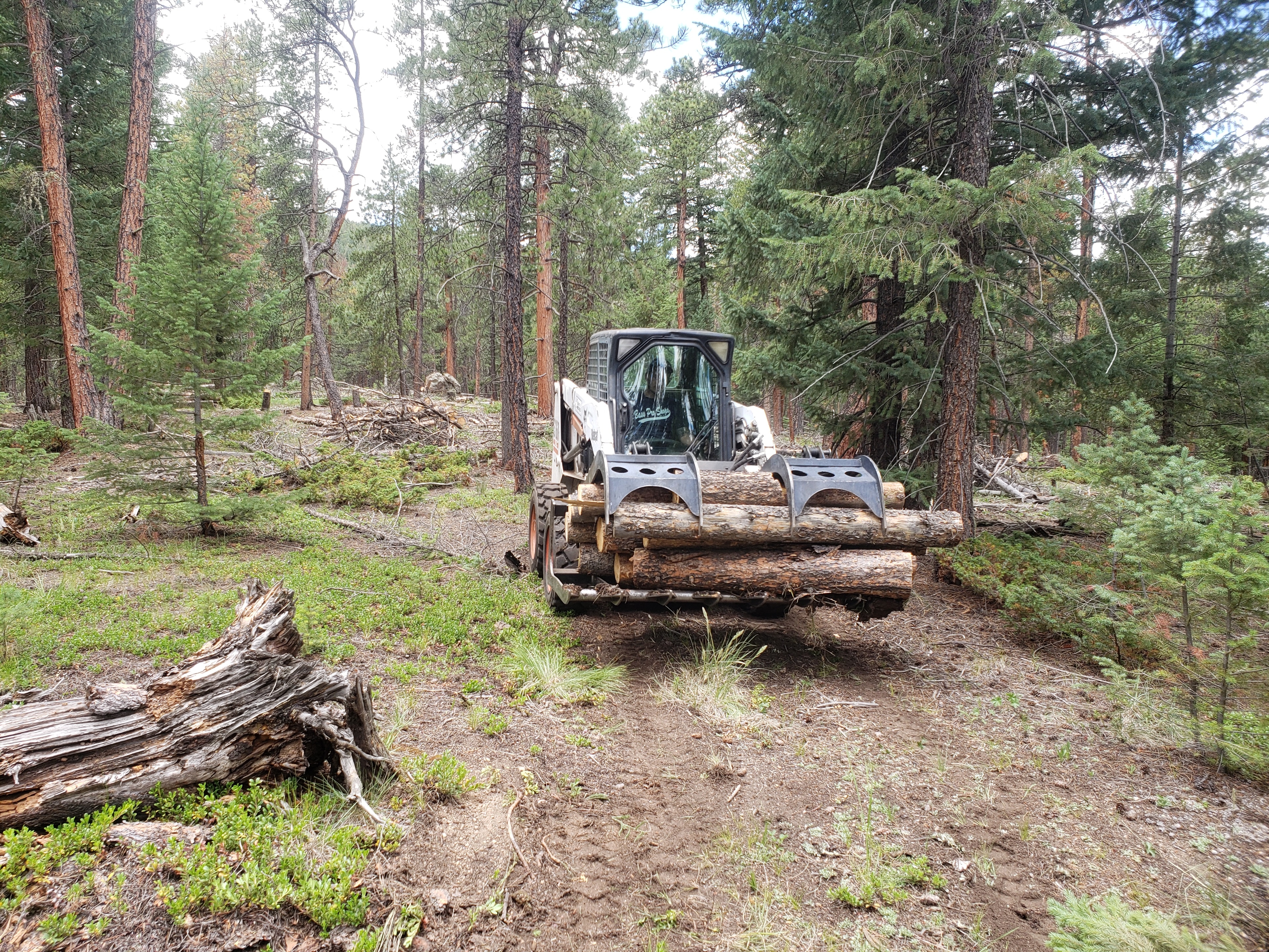 Additional timber and equipment work for mountain properties