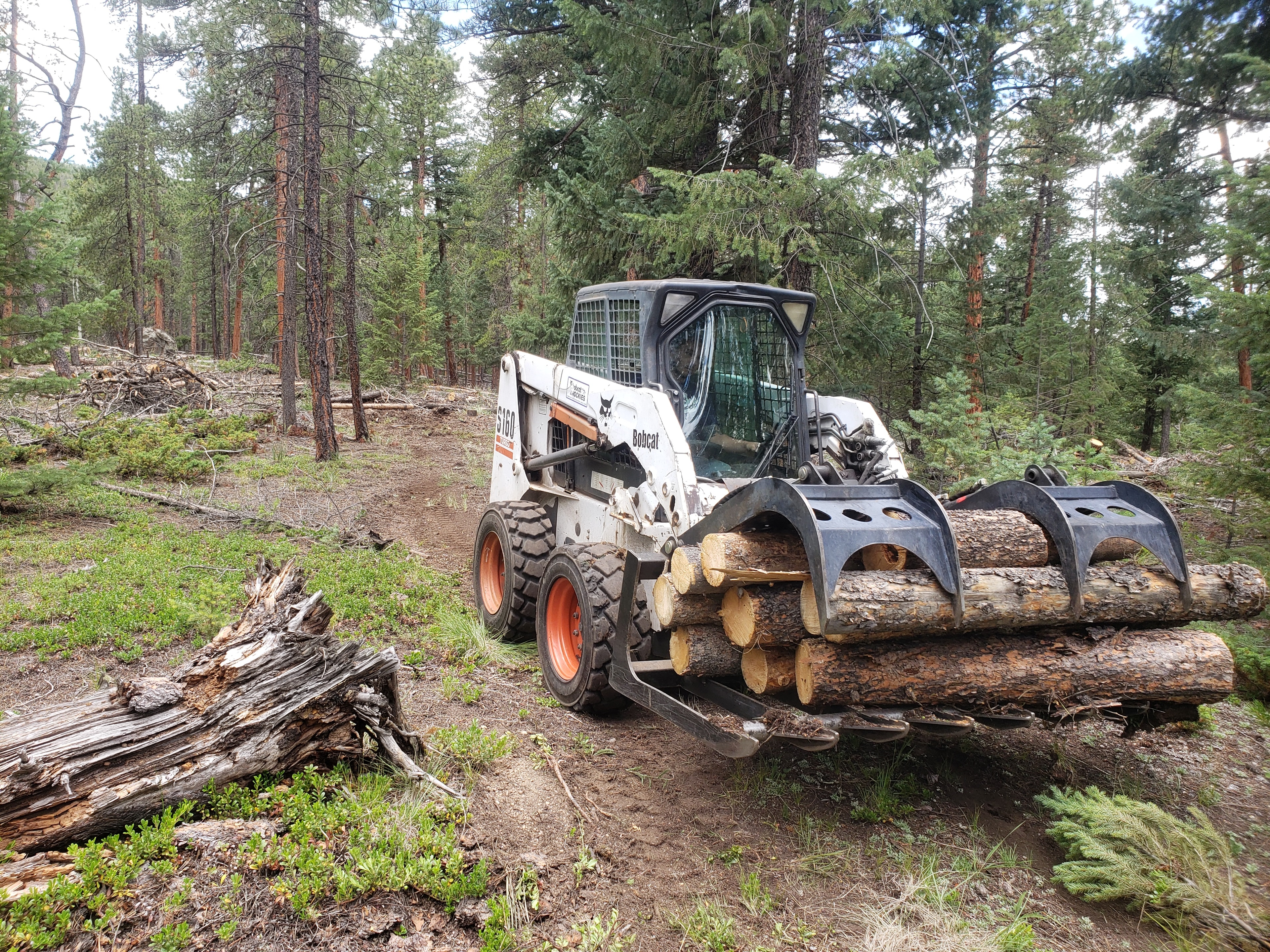 Timber and equipment work for mountain property improvements